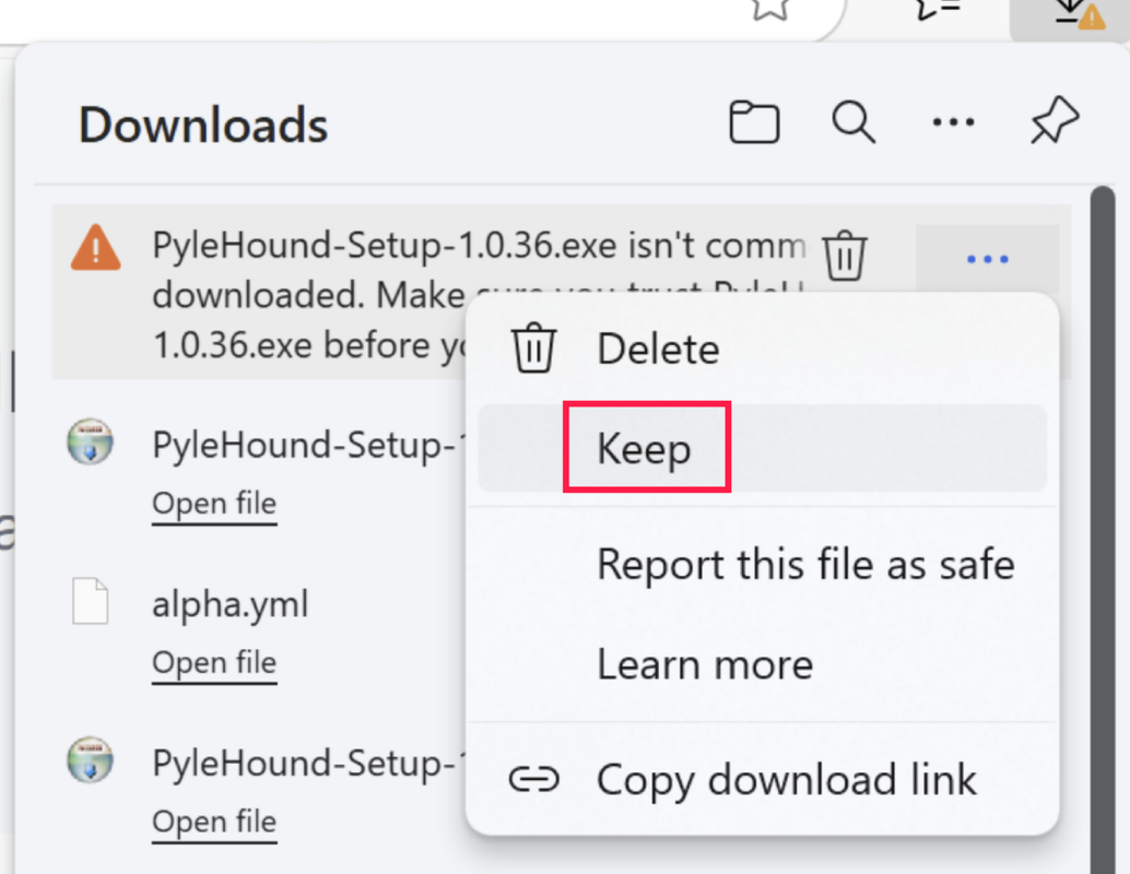Klicken Sie auf "Trotzdem behalten"